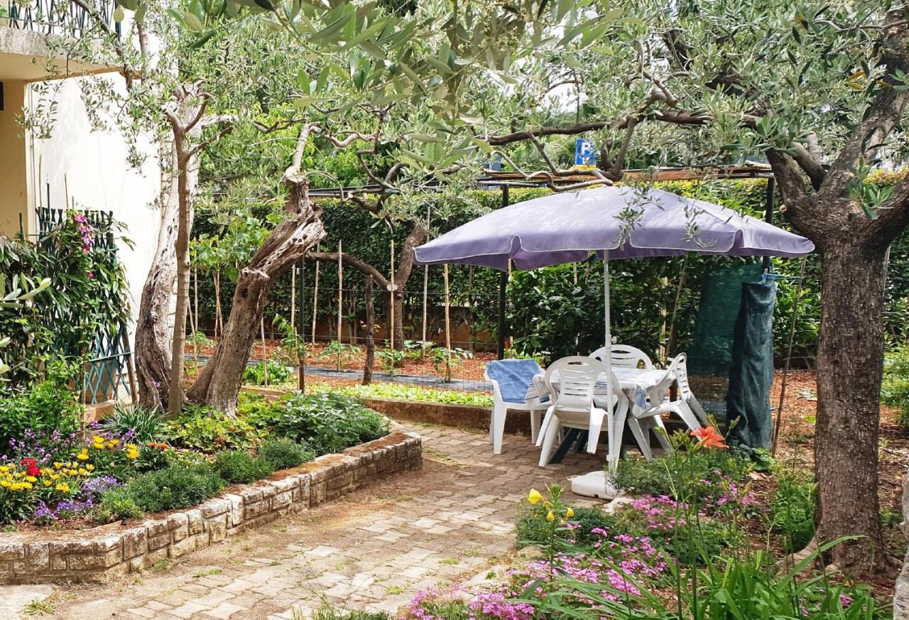 Cecillia Mare Apartments Ровин Екстериор снимка